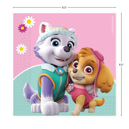 Paw Patrol Skye & Everest Party Kit